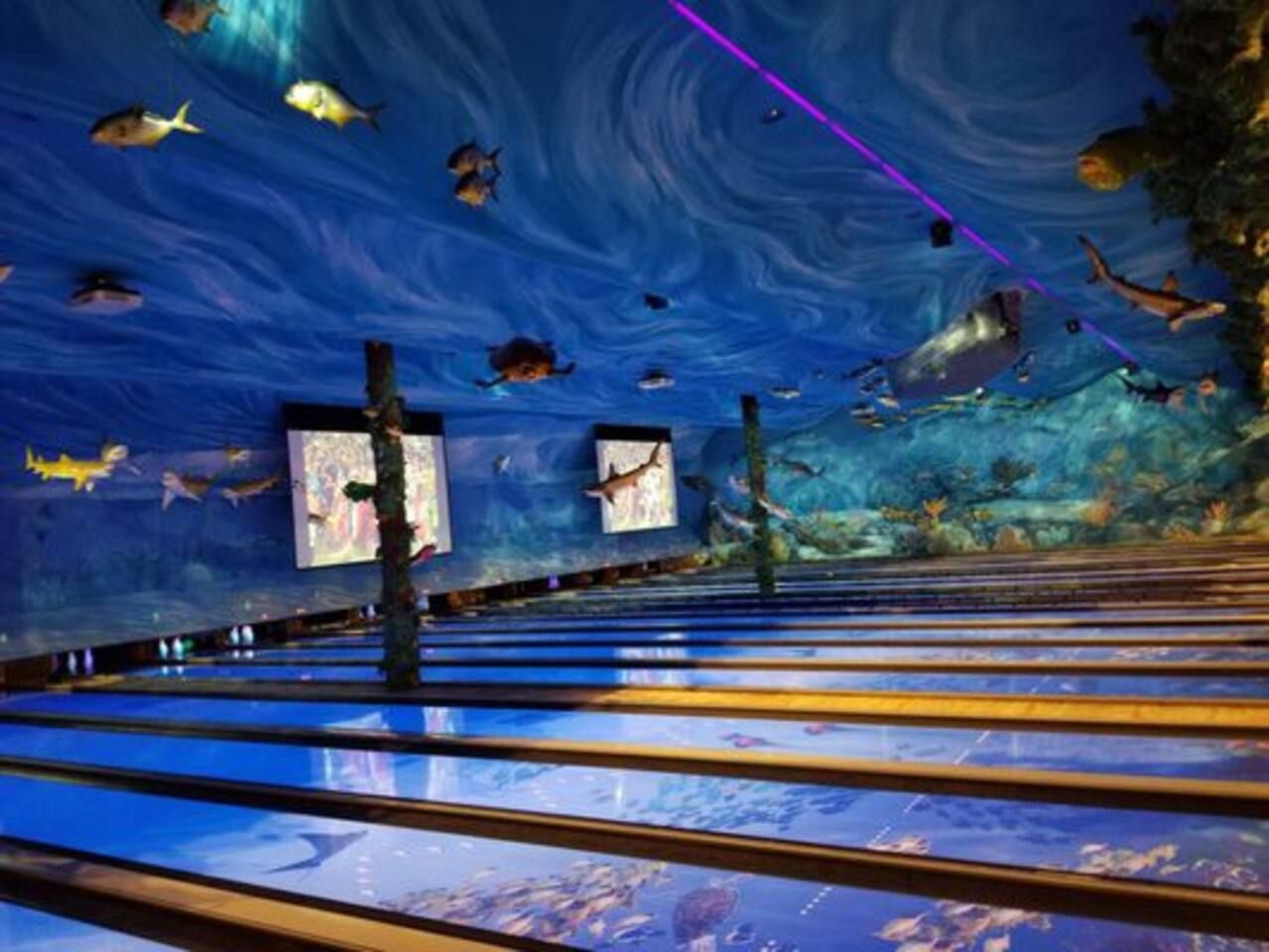 An aquarium with a long viewing corridor, fish exhibits, and informational displays.