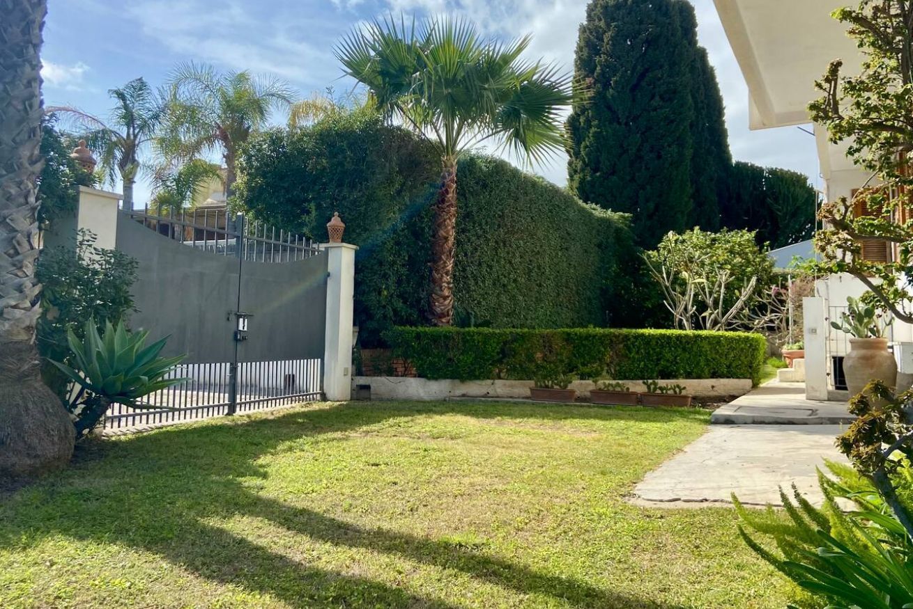 A well-maintained garden with a palm tree, a hedge, and a gated entrance.