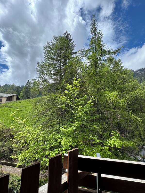 Property grounds - 50 metres from the cable car, apartment with balcony, private collective parking, WIFI (Anzère)