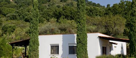 A white building with two windows and a small porch, surrounded by greenery and hills.