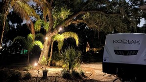Un campeggio con un grande albero, un camper bianco e un vialetto lastricato.