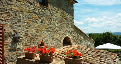 Large apartment with garden in an old farmhouse with swimming pool