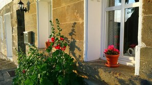 Detalle del exterior