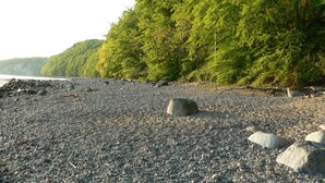 A pebbled beach with large boulders and dense green trees in the background. - Apartment 16 - apartment / apartment in Binz (Binz)