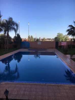 Una piscina rectangular con superficie de agua azul cristalina, rodeada por un camino de ladrillo y palmeras.