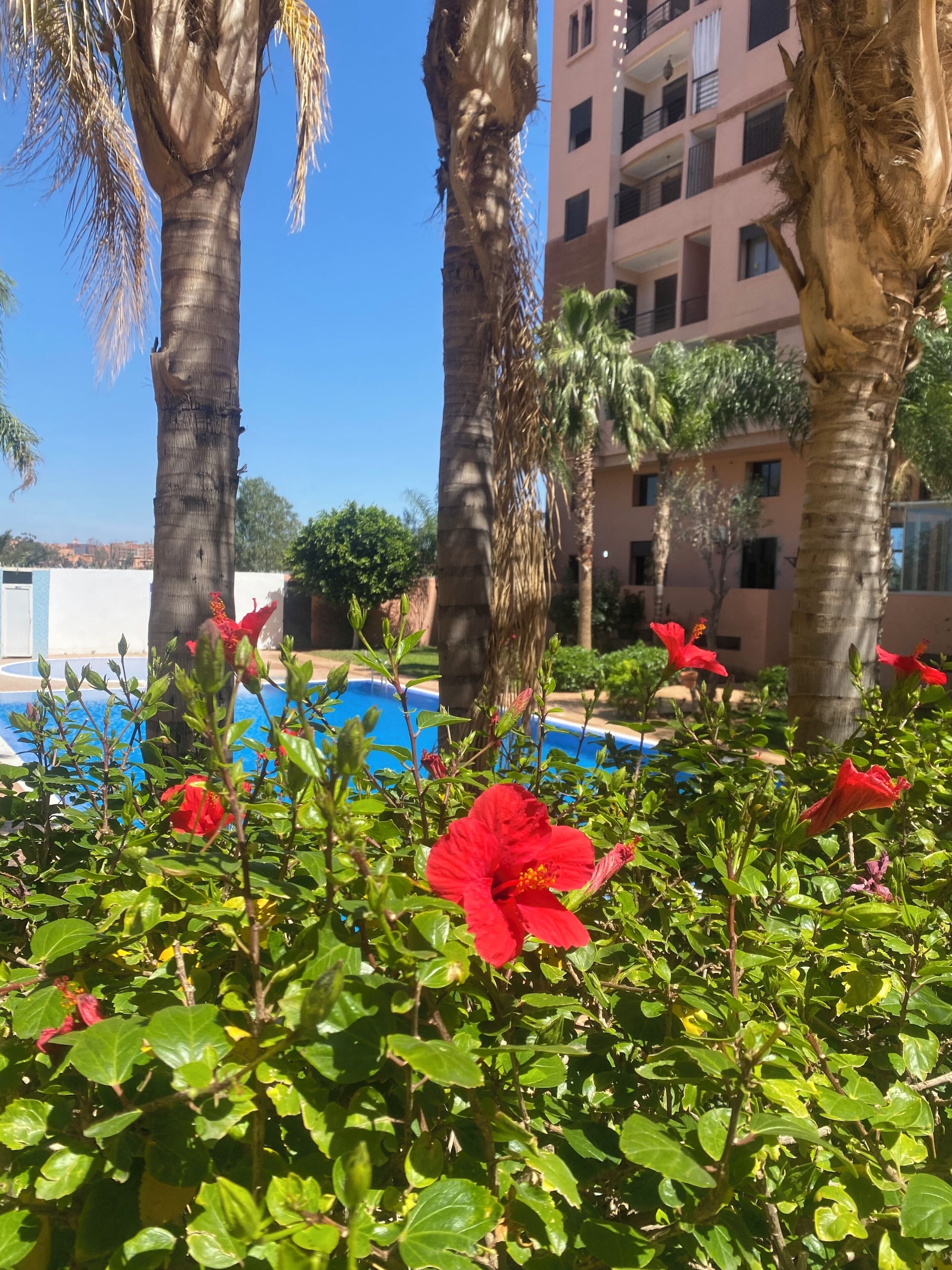 Overnattingsstedets uteområder