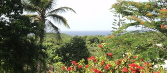 Villa ‘‘ Sapotille ’’ calme  tout confort  cadre merveilleux  au Moule