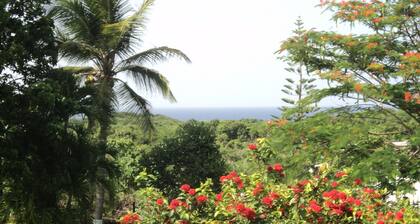 Villa '' Sapotille '' quiet and comfortable wonderful setting in Le Moule