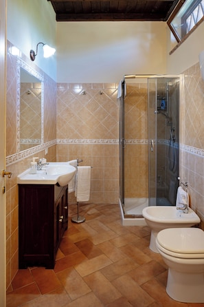 Hair dryer, towels, soap, shampoo