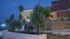 A building with a stone facade, palm trees, and a paved area in front.