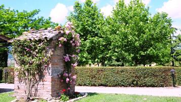 Parco della struttura