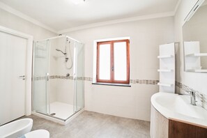 Shower, hair dryer, bidet, towels