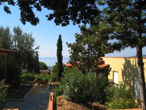 Terrain de l’hébergement 