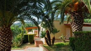 A pathway leading to a building with a covered patio area, surrounded by palm trees and other greenery. - 1-bedroom apartment 2/3 people in quiet location (Palinuro)
