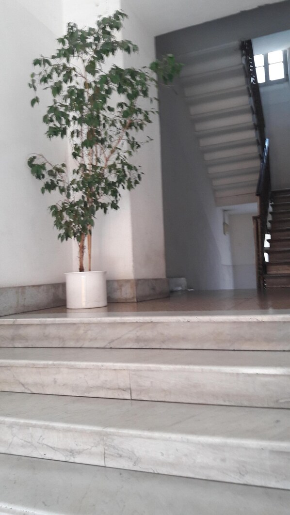 Una escalera con una planta en maceta a la izquierda.