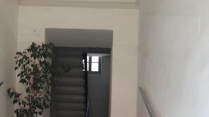 A staircase with marble steps leading to a landing. There is a potted plant on the landing and another on the staircase.