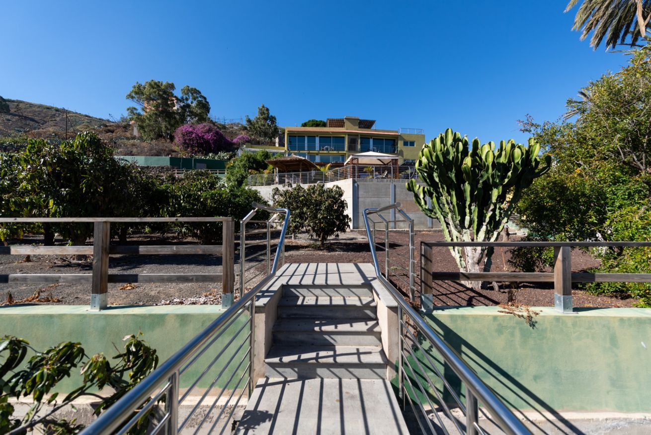 Un chemin menant à un bâtiment doté d’un escalier, entouré de verdure et de cactus.