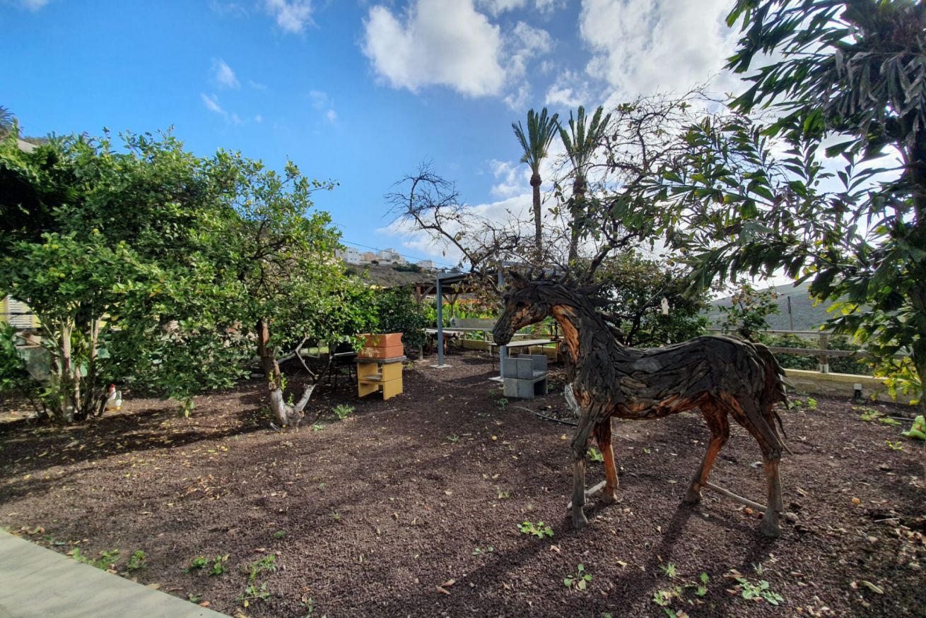 Um jardim com uma estátua de cavalo, árvores e um banco.