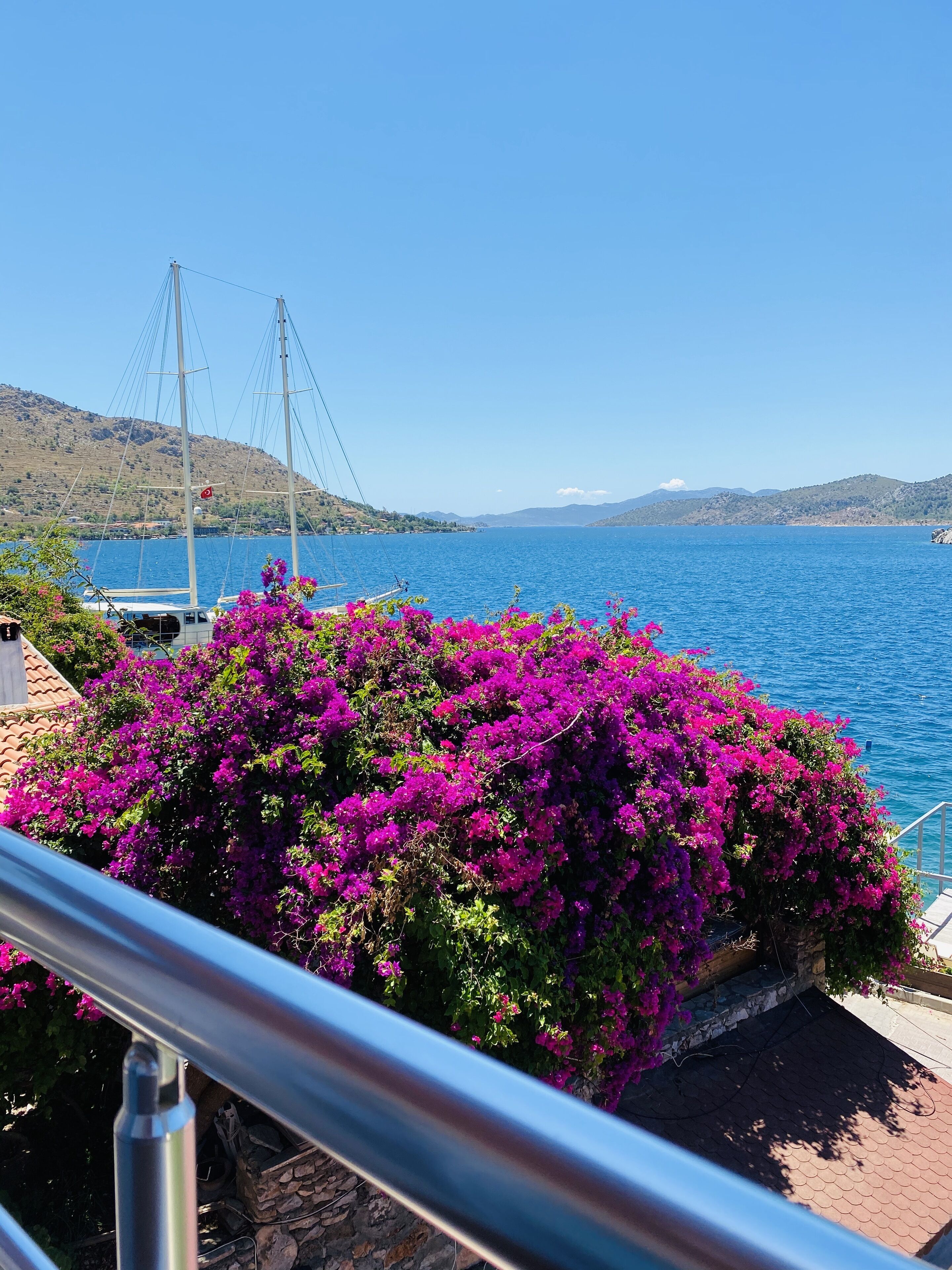 Vista costera con un barco amarrado cerca de un edificio cubierto de buganvillas moradas.