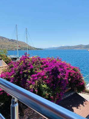 A coastal view with a boat docked near a building with purple bougainvillea.
