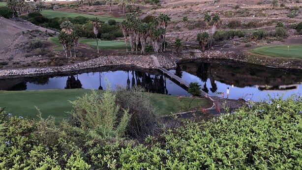 Campo de golf con un estanque, un puente de madera y abundante vegetación.