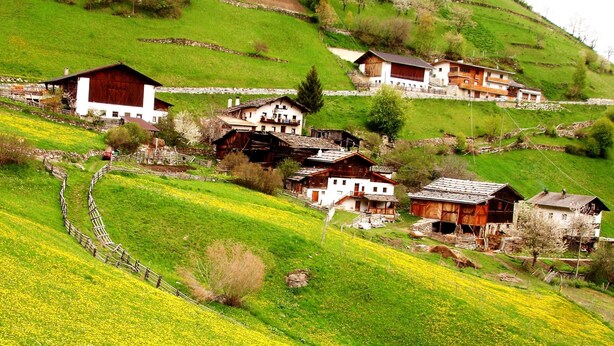 Ein ländliches Dorf mit traditionellen Holzhäusern, einer Steinmauer und einem Feld voller gelber Blumen.