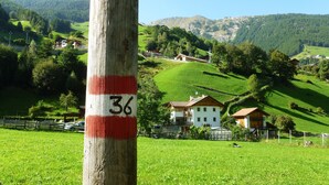 Ländliche Landschaft mit einem hölzernen Versorgungsmast mit der Nummer 36, umgeben von üppigen grünen Feldern und einigen Häusern.
