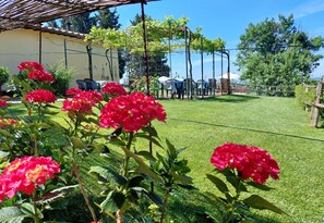 Àrea exterior de l'allotjament