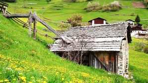 Une cabane en bois rustique, dotée d’un toit en pente, est entourée d’un champ verdoyant où poussent des fleurs jaunes. Elle se dresse sur un fond de collines douces et d’une zone boisée.