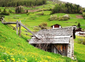 Parco della struttura