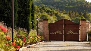 Una entrada protegida con una reja metálica decorativa que presenta motivos de trigo, rodeada por un jardín ajardinado con diversas plantas y flores.