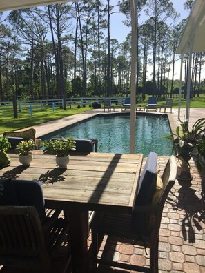 Pool - Paso Fino farm (Lake Placid)