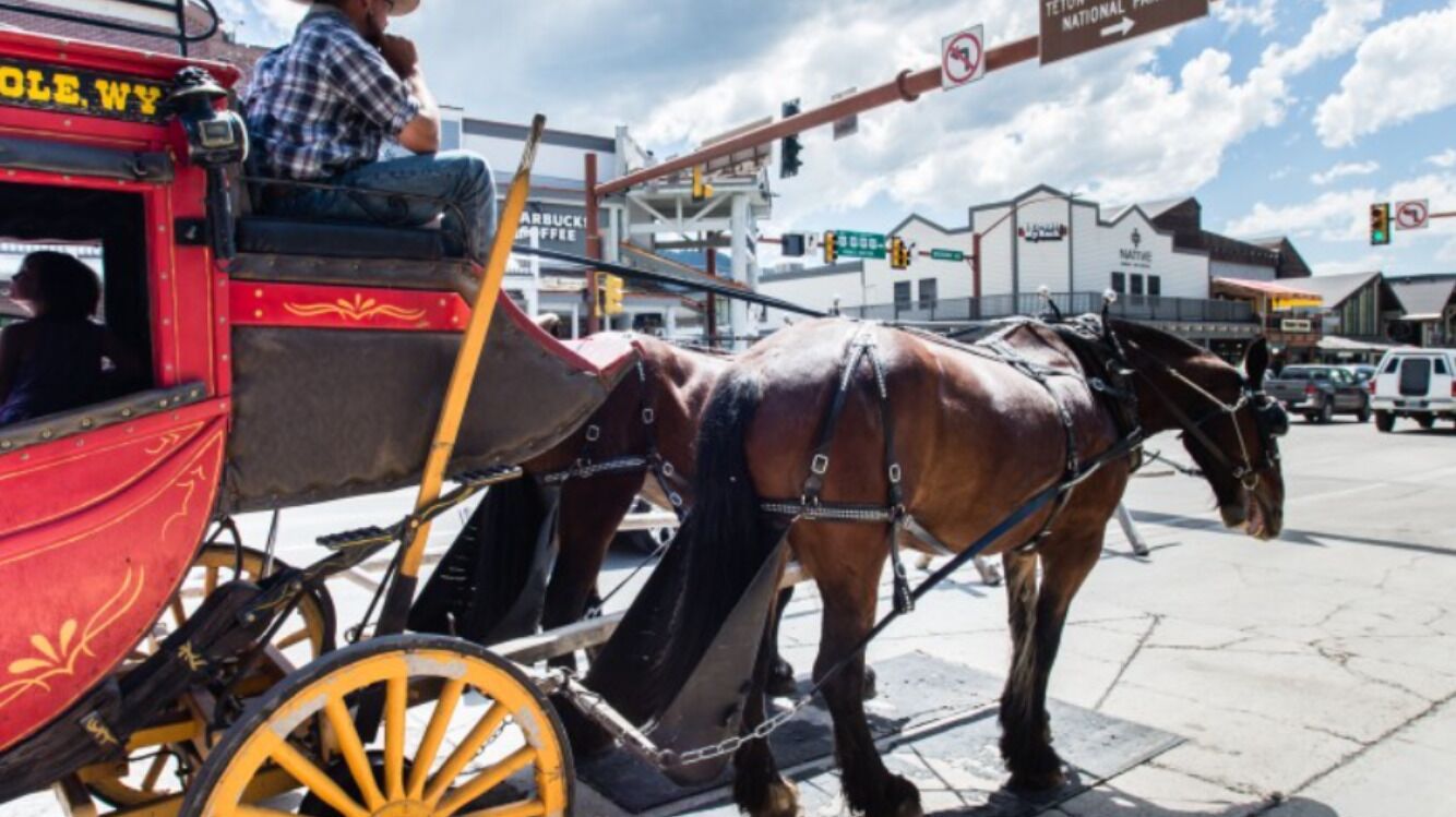 Un carruaje tirado por caballos con un cochero, pasando por una ciudad con edificios y semáforos al fondo.