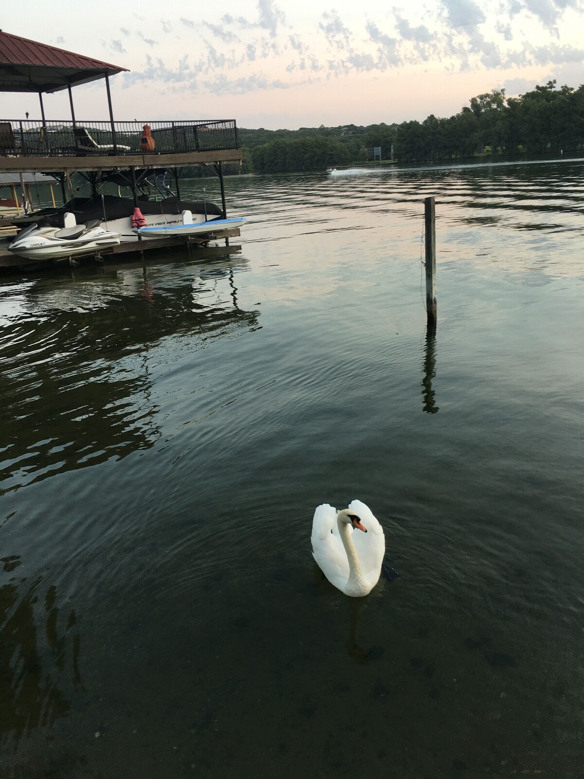 Photo 35 of Villa Toscana – Rustic Italian Lakeside Retreat - Private Boat Dock and slip