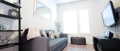 TV, fireplace, books, music library