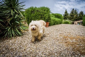 المنطقة المحيطة بالمنشأة