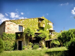 Exterior - Large apartment on organic olive oil farm in rural Chianti with amazing views (Castellina in Chianti)