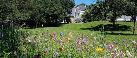 Terrain de lâhĂ©bergement