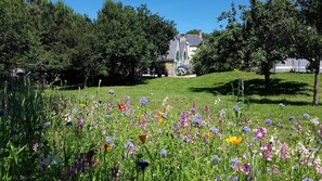 المنطقة المحيطة بالمنشأة