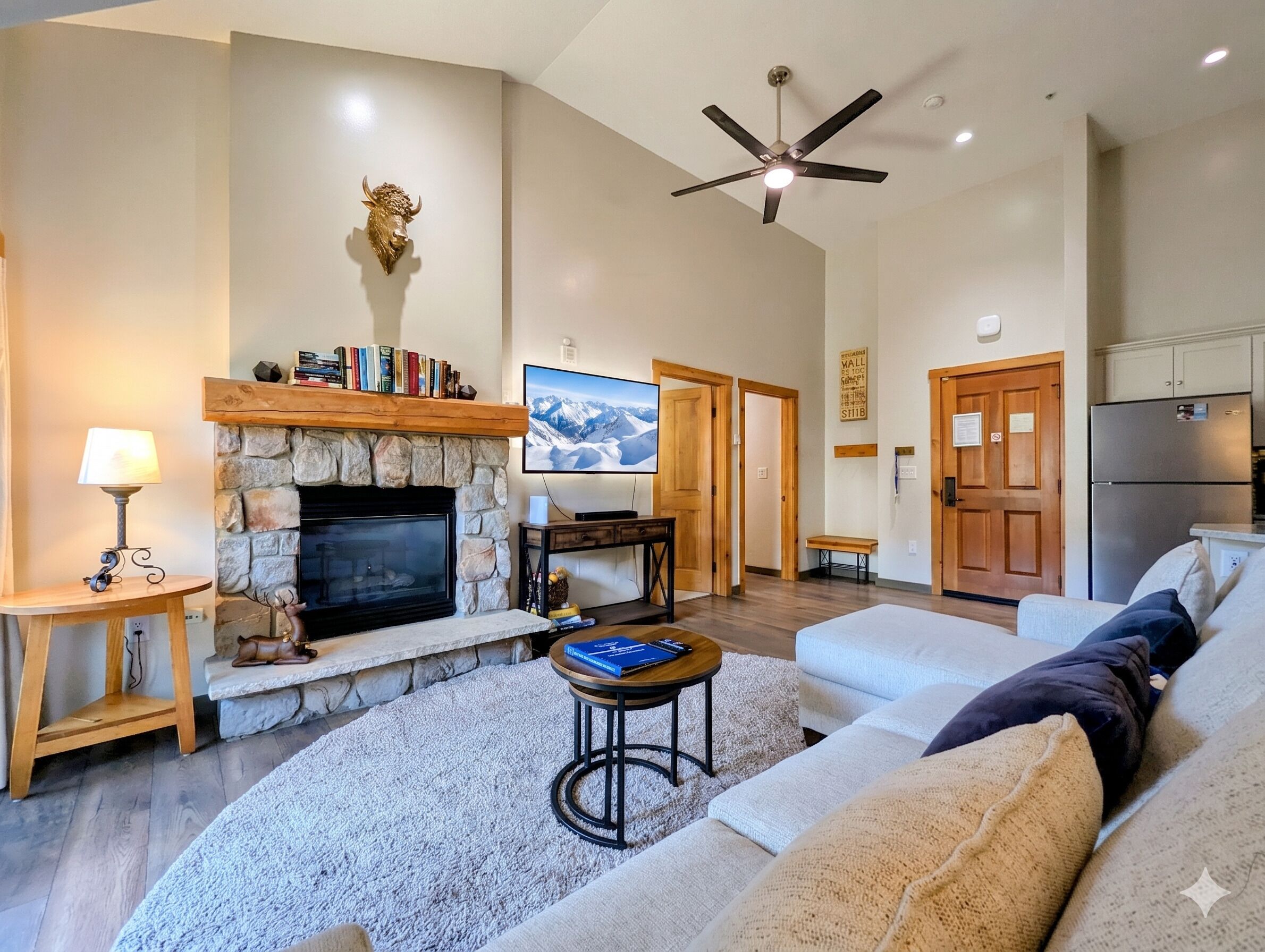 TV, fireplace, video games