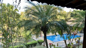 A view of a swimming pool surrounded by lush greenery and palm trees. - Come and relax in the second best climate in the world. (Atibaia)