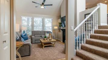 TV, fireplace, video games, offices