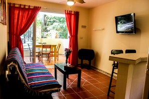 TV a schermo piatto, lettore DVD, libri