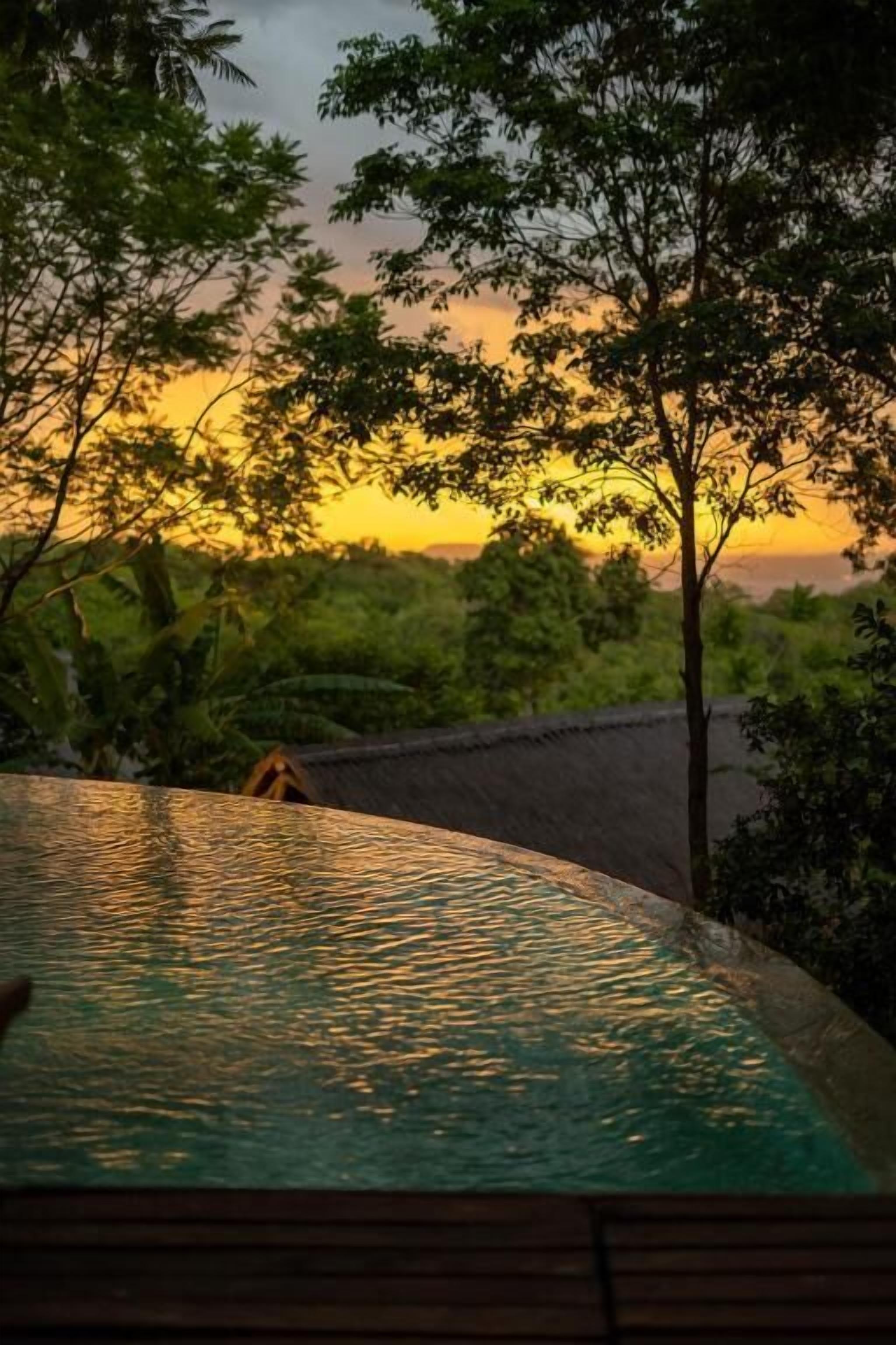 A swimming pool with a view of trees and a sunset.