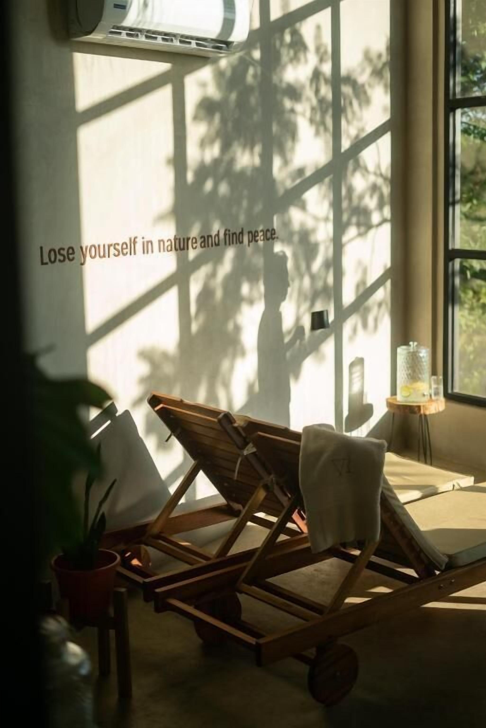 Une pièce avec une fenêtre ensoleillée, une chaise en bois, une petite table et une plante en pot.