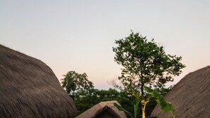 En sti der fører hen til en bygning med stråtækt tag, omgivet af naturlig vegetation.