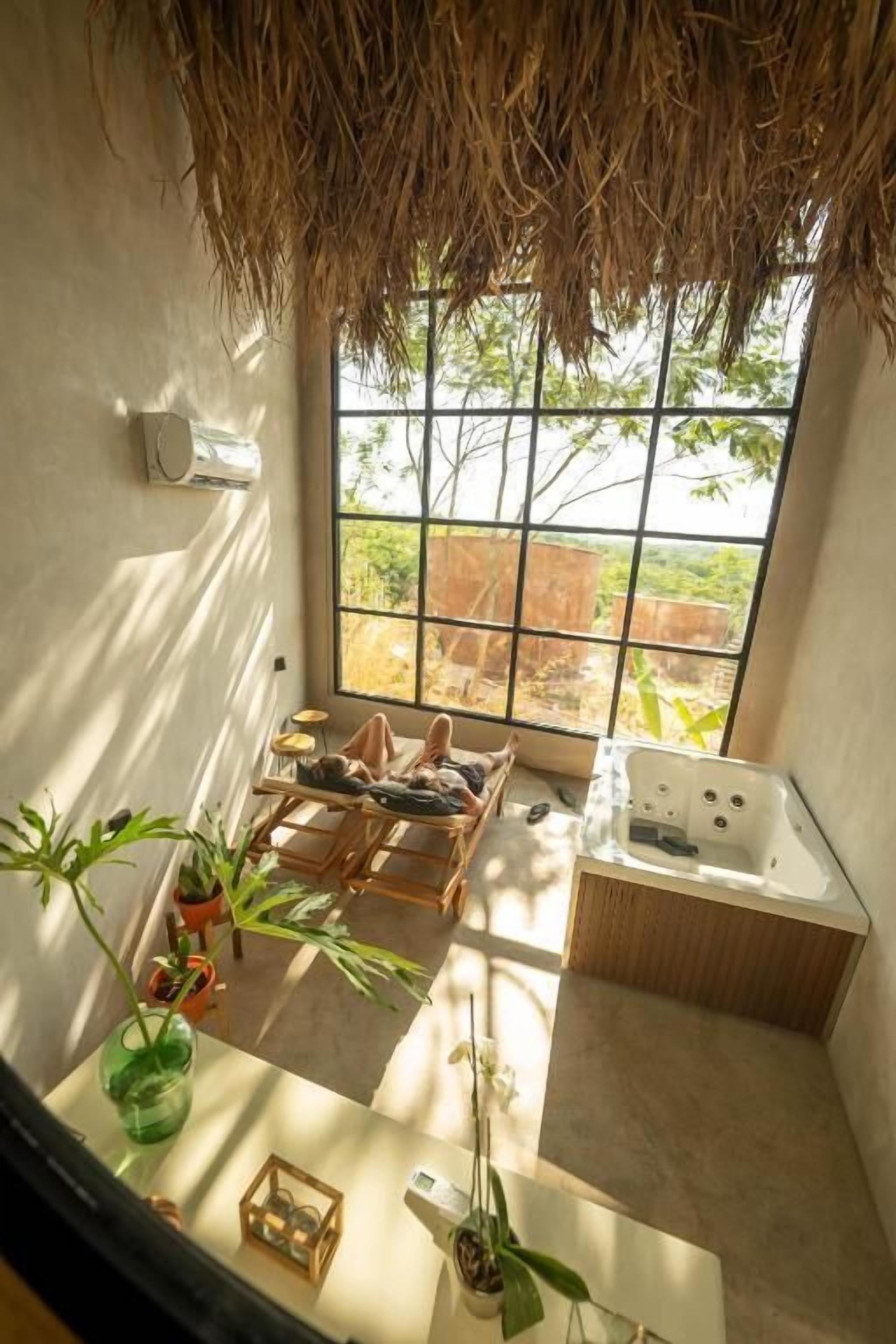 A room with a large window, a bathtub, a wooden bench, and potted plants.