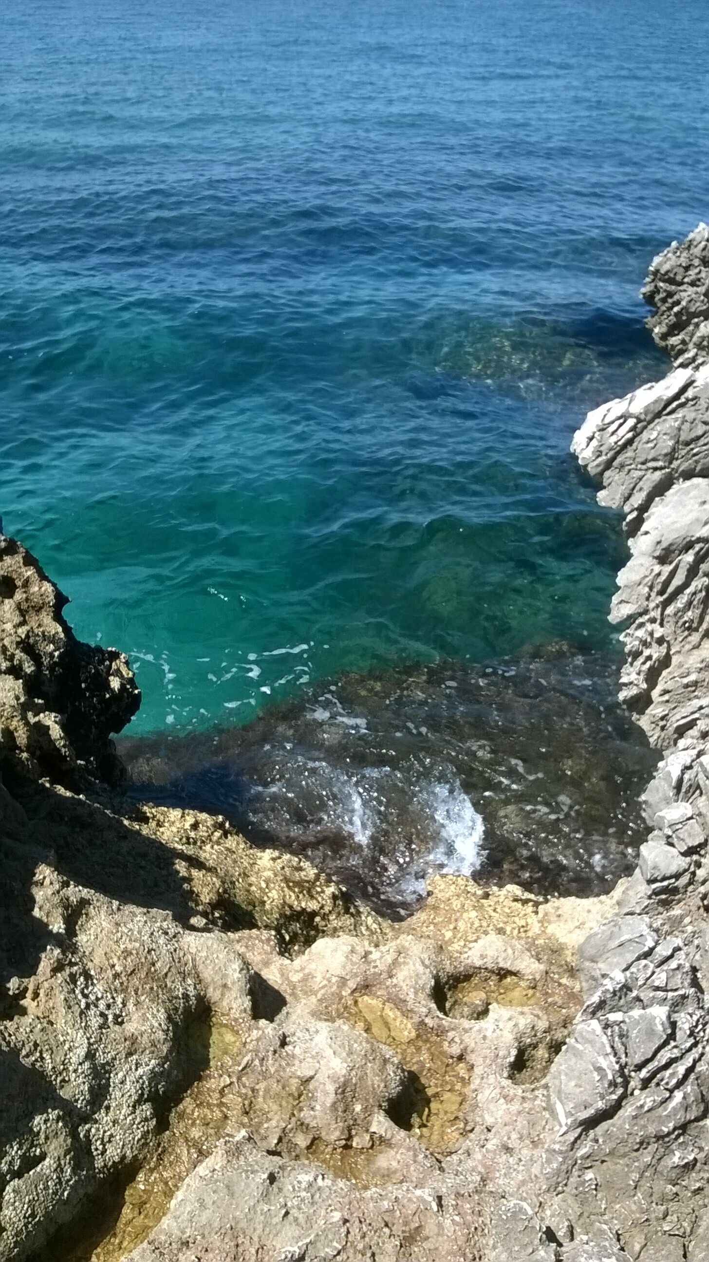 Villa 2 camere, con giardino