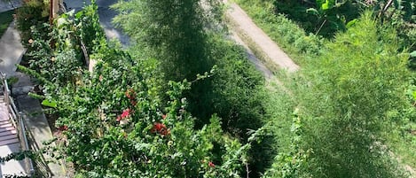 Terrain de lâhĂ©bergement
