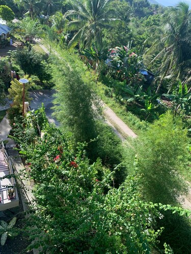 SOUL TRAVELLERS GUEST HOUSE Happy/Jolly room